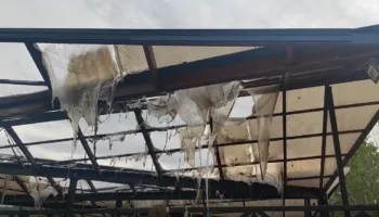 Zjarr në tregun e fruta-perimeve në Lushnjë, digjet një pjesë e çatisë dhe mallrat