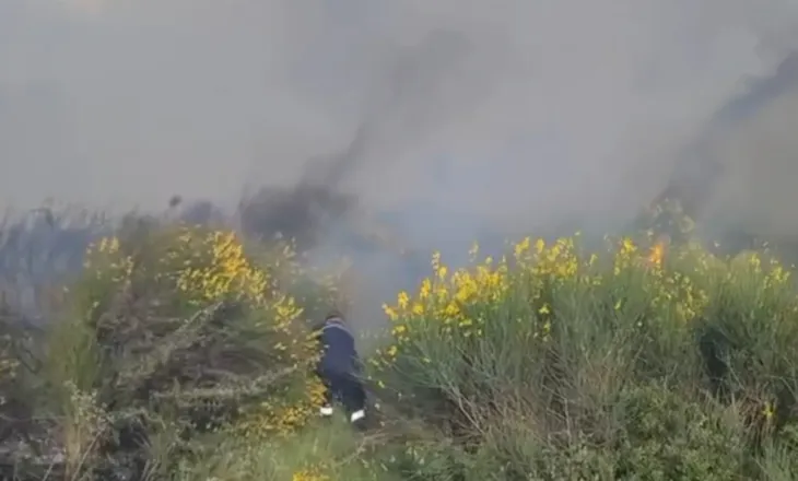 Zjarr në Vlorë, era e fortë përhap me shpejtësi flakët në kodra dhe zonat me ullishte