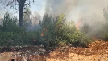 Zjarr pranë Ranës së Hedhun në Shëngjin, zona me pisha përfshihet nga flakët