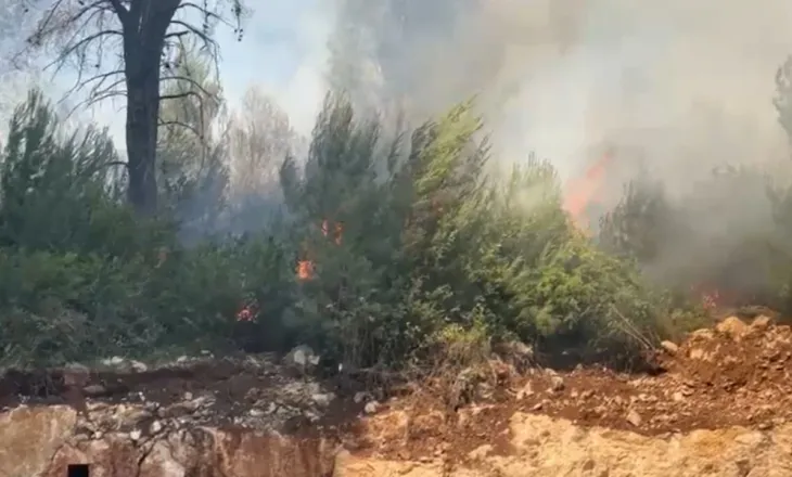 Zjarr pranë Ranës së Hedhun në Shëngjin, zona me pisha përfshihet nga flakët