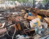 Zjarri në tregun e frutave-perimeve në Lushnjë, shpallet në kërkim njëri nga autorët
