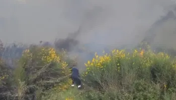 Zjarri në Vlorë/ Flakët përhapen me shpejtësi, zjarrfikësit hasin probleme nga terreni i vështirë