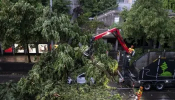 16-vjeçarja humb jetën pas stuhisë së fuqishme në Cyrih