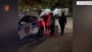 213 ngjarje kriminale vetëm gjatë muajit maj në Shkodër/ Prangat 33 personave, sekuestrohen lëndë narkotike dhe armë