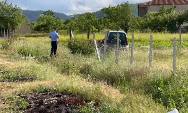 Aksident fatal në aksin Korçë-Ersekë, makina përplas për vdekje një fëmijë