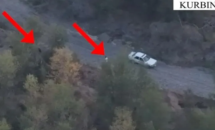 Aksion antidrogë në Kurbin, policia kap ‘mat’ në paracelën me kanabis dy të rinjtë