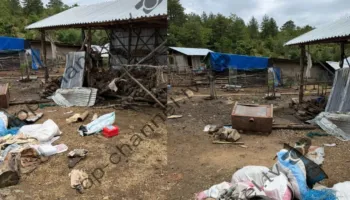 Aksioni ku mbeti i vrarë efektivi Enea Mekolli, dëshmia e oficerit: Kur po afroheshim, në drejtimin tonë u qëllua me armë