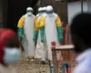 Alarm në Kongo, rreth 1,000 të infektuar dhe 245 viktima nga shpërthimi i Ebola-s