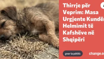“Animals Need Me” peticion institucioneve: Të ndalet helmimi i kafshëve në Shqipëri