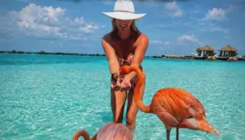 Aruba u vërtetua. Dhe hija e Edi Ramës është aty