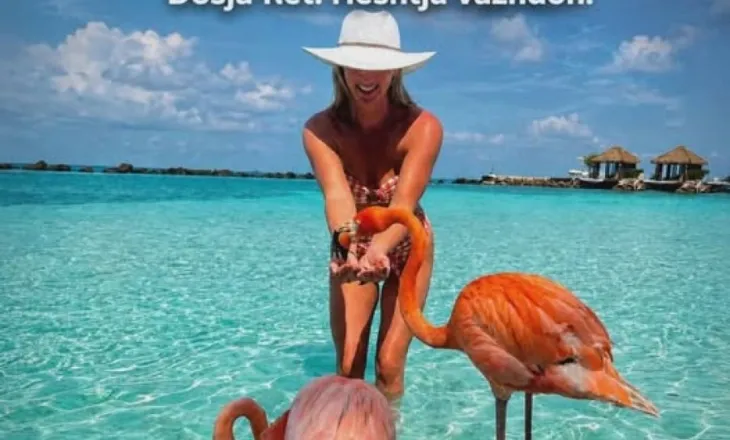 Aruba u vërtetua. Dhe hija e Edi Ramës është aty
