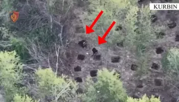Asgjësohet kanabisi në Skuraj, arrestohen dy kultivuesit