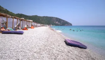 Bizneset presin një verë të mirë, shërbimet dhe turizmi rrisin besimin në ekonomi, tregtia e industria frenohen