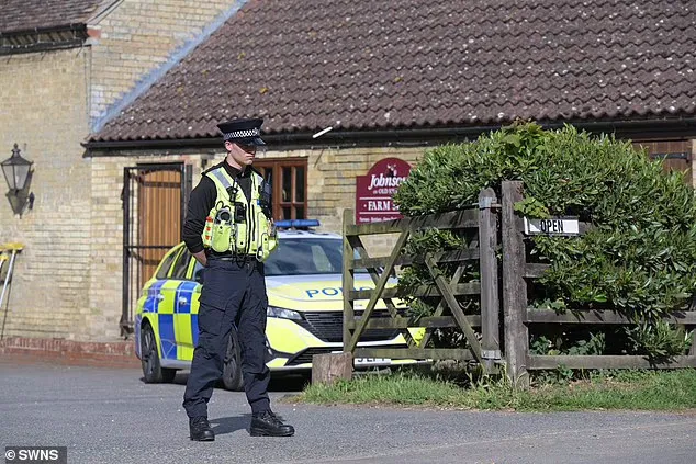 Britani/ Tronditje në kopshtin zoologjik: 3-vjeçari përfundon në kafazin e krokodilëve, arrestohet 30-vjeçari për tentativë vras