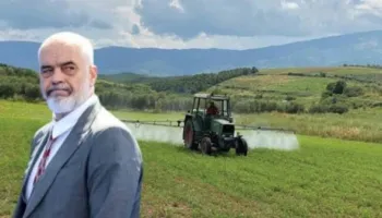 Bujqësia në krizë të thellë/ Shënohet rënie edhe në vitin 2025, dobët serrat, drufrutorët dhe ullinjtë