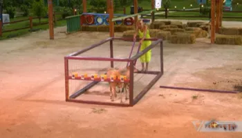 Delet zgjodhën! Kush janë fermerët që do të jenë në televotim për finalistin e dytë