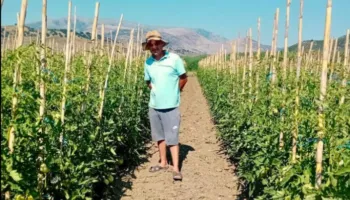 Drejtori i përgjithshëm i Tatimeve, Ilir Binaj: Më 1 korrik nis rimbursimi 10% i faturave për rreth 10 mijë fermerë