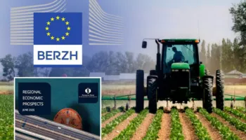 Ekonomia shqiptare/ BERZH ul pritshmërinë: Rritja ngadalësohet mes goditjeve ndaj industrisë dhe bujqësisë
