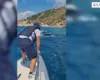 Erërat e forta në Ksamil i rrezikuan mbytjen, Policia Kufitare shpëton dy turistë dhe shmang ngjarjen e rëndë