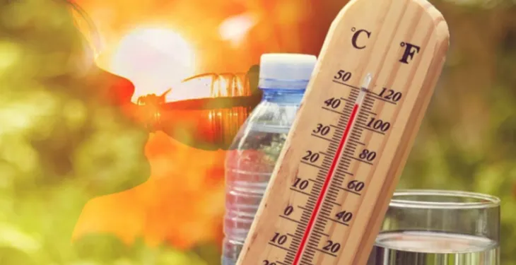 Europa në alarm nga vala e të nxehtit, qindra viktima dhe temperatura rekord mbi 40°C