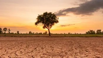 Fillon zyrtarisht ‘El Nino’, shkencëtarët ngrenë alarmin për temperaturat e larta: Këtë vit mund të jetë një nga episodet me të forta