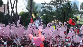 FOTO-LAJM/ Protesta e 18 kundër Ramës, Bulevardi mbushet me ‘flamingo’