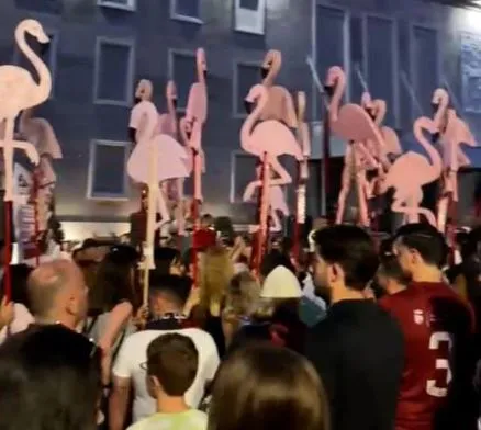 FOTO-LAJM/ Protesta kundër investimit në Zvërnec, ‘Flamingot’ zbarkojnë në sheshin para Kryeministrisë