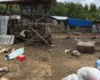 Foto+Video/ Brenda stanit ku fshihej Violand Braçellari, vendi i pyllëzuar ku mbeti i vrarë një polici dhe një tjetër u plagos
