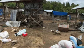 Foto+Video/ Brenda stanit ku fshihej Violand Braçellari, vendi i pyllëzuar ku mbeti i vrarë një polici dhe një tjetër u plagos