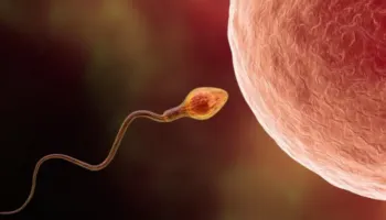Gjysma e rasteve të infertilitetit lidhen me burrat, por diagnostikimi i tyre neglizhohet