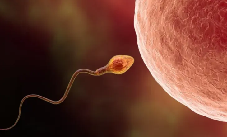 Gjysma e rasteve të infertilitetit lidhen me burrat, por diagnostikimi i tyre neglizhohet