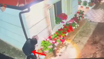 Goditen dy raste grabitjesh në Durrës, arrestohen dy persona, policia sekuestron edhe armë zjarri (EMRAT)