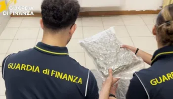 Goditet rrjeti i trafikur të drogës/ Po trafikonin mbi 11 kg drogë, arrestohen shqiptari dhe italiani, ja ku e kishin..