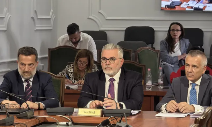 Gogu në Komisionin e Ligjeve: Politika penale hyn në fazën e matjes së rezultateve