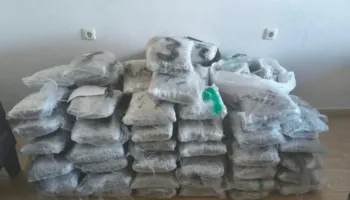 Greqi/ Sekuestrohen 96 kg kanabis në Igumenicë, dyshohet se kishte hyrë nga kufiri shqiptar