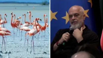 “Greqia na kanë futur xixat me njëri-tjetrin”, Rama: Bota e zhvillon turizmin dhe ekonominë tek investimet e huaja që tërheq