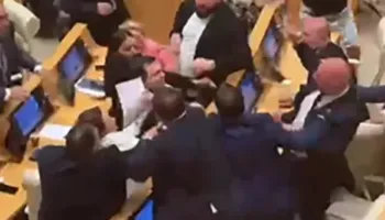 Grushta në parlamentin gjeorgjian, deputetët e kthejnë sallën në arenë boksi (VIDEO)