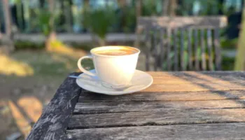 Harrojeni kafenë në mëngjes, këto pije përshpejtojnë metabolizmin dhe ndihmojnë në humbjen e peshës