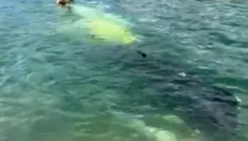 Helikopteri zjarrfikës rrëzohet në liqenin e Aoos në Greqi, shpëtojnë dy pilotët