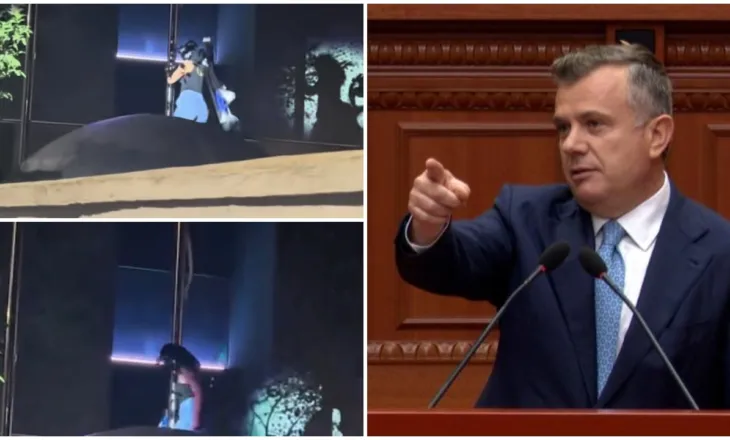 Heqja e flamurit izraelit gjatë protestës në Tiranë, reagon Taulant Balla: Akti i rëndë e i turpshëm