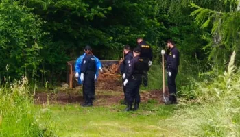 Horror në Çeki/ 35-vjeçarja vret foshnjën e porsalindur dhe trupin ua hedh qenve, si vjehrra zbuloi krimin makabër