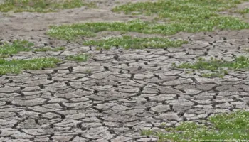 “I nxehtë siç nuk e kemi parë kurrë”, OKB paralajmëron për ardhjen e fenomenit Super El Nino