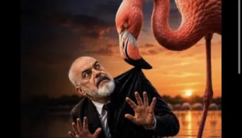 Ironizon Berisha: Kur algoritmi të thotë ‘bëhu flamingo’, por komentet vazhdojnë, ‘Rama, jepe dorëheqjen’