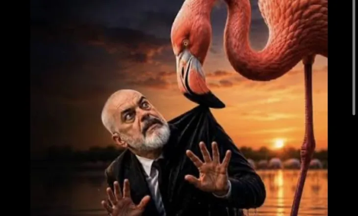 Ironizon Berisha: Kur algoritmi të thotë ‘bëhu flamingo’, por komentet vazhdojnë, ‘Rama, jepe dorëheqjen’