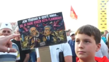 “Jeni tërbuar si qentë Dingo, do t’ju hanë kokën këta flamingo”/ Protesta e veçantë e vogëlushit: Mos hiqni dorë kurrë