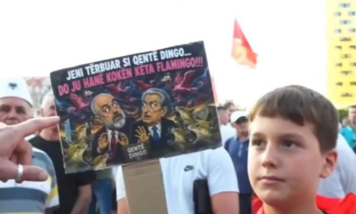 “Jeni tërbuar si qentë Dingo, do t’ju hanë kokën këta flamingo”/ Protesta e veçantë e vogëlushit: Mos hiqni dorë kurrë