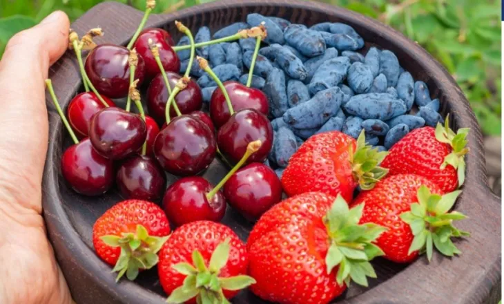 Jo të gjitha frutat janë njësoj të shëndetshme: Shkencëtarët kanë zbuluar se cilat lloje e mbrojnë më shumë zemrën