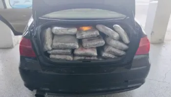 Kapen pranë kufirit greko-shqiptar 110 kg marijuanë të fshehura në bagazhin e makinës, arrestohet 43-vjeçari turk