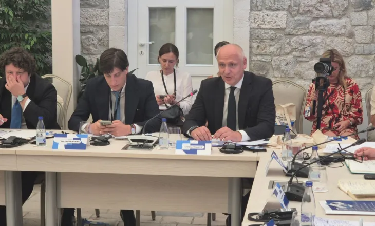 Kapetanović: Ballkani duhet eksportojë ide, jo vetëm punëtorë