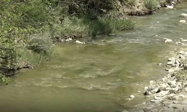 Këlcyrë/ Dhjetëra krerë bagëti të ngordhura hidhen në përrua, banorët të shqetësuar për përhapjen e infeksioneve